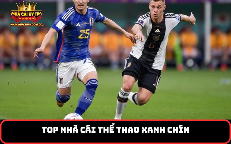 Top Nhà Cái Thể Thao Xanh Chín